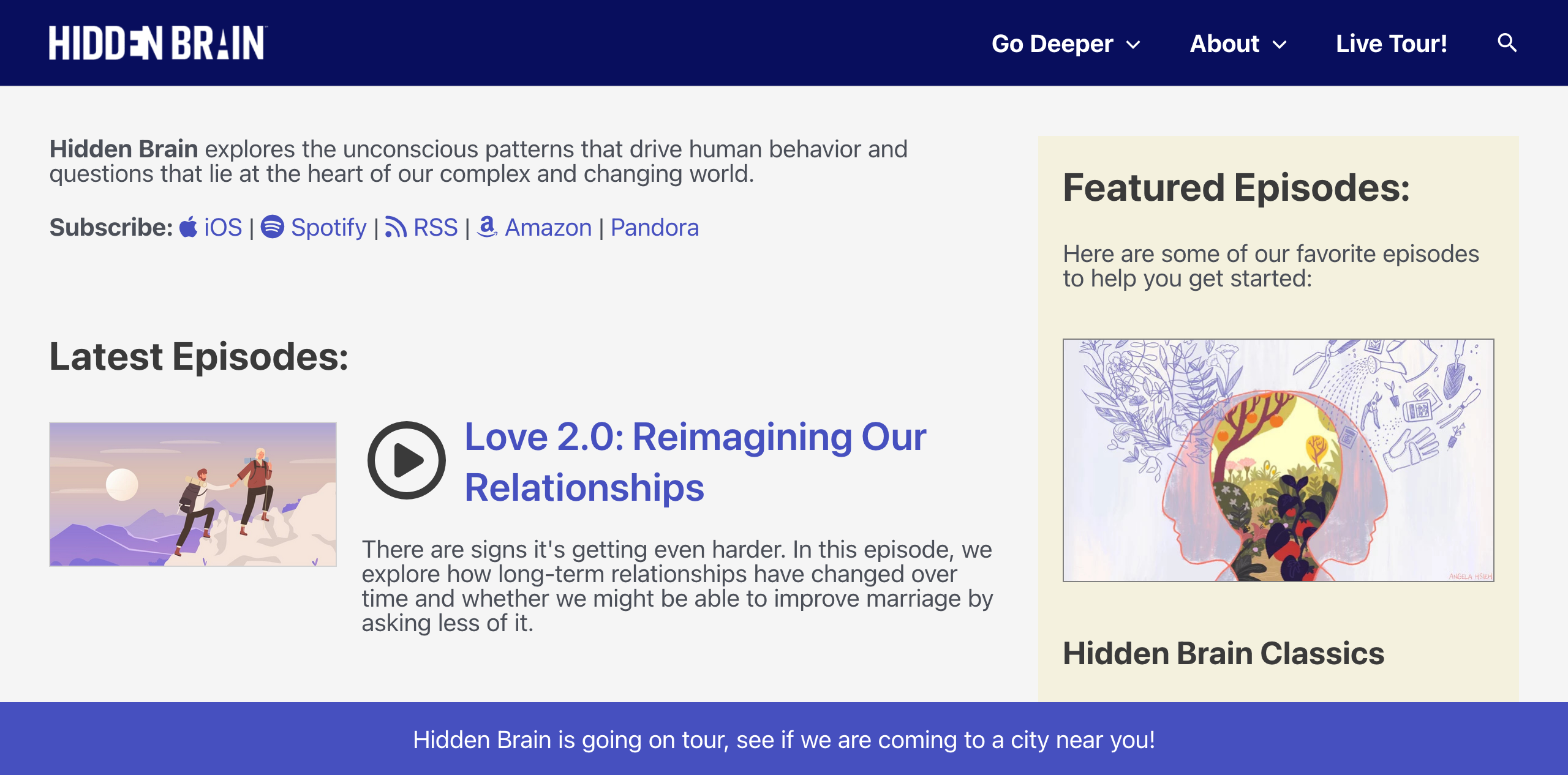 Hidden Brain episode screenshot