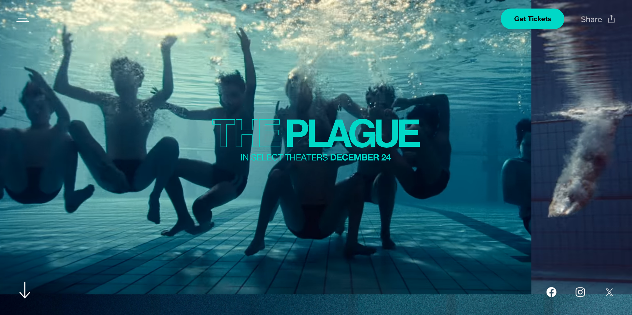 Plagued By Its Own Success