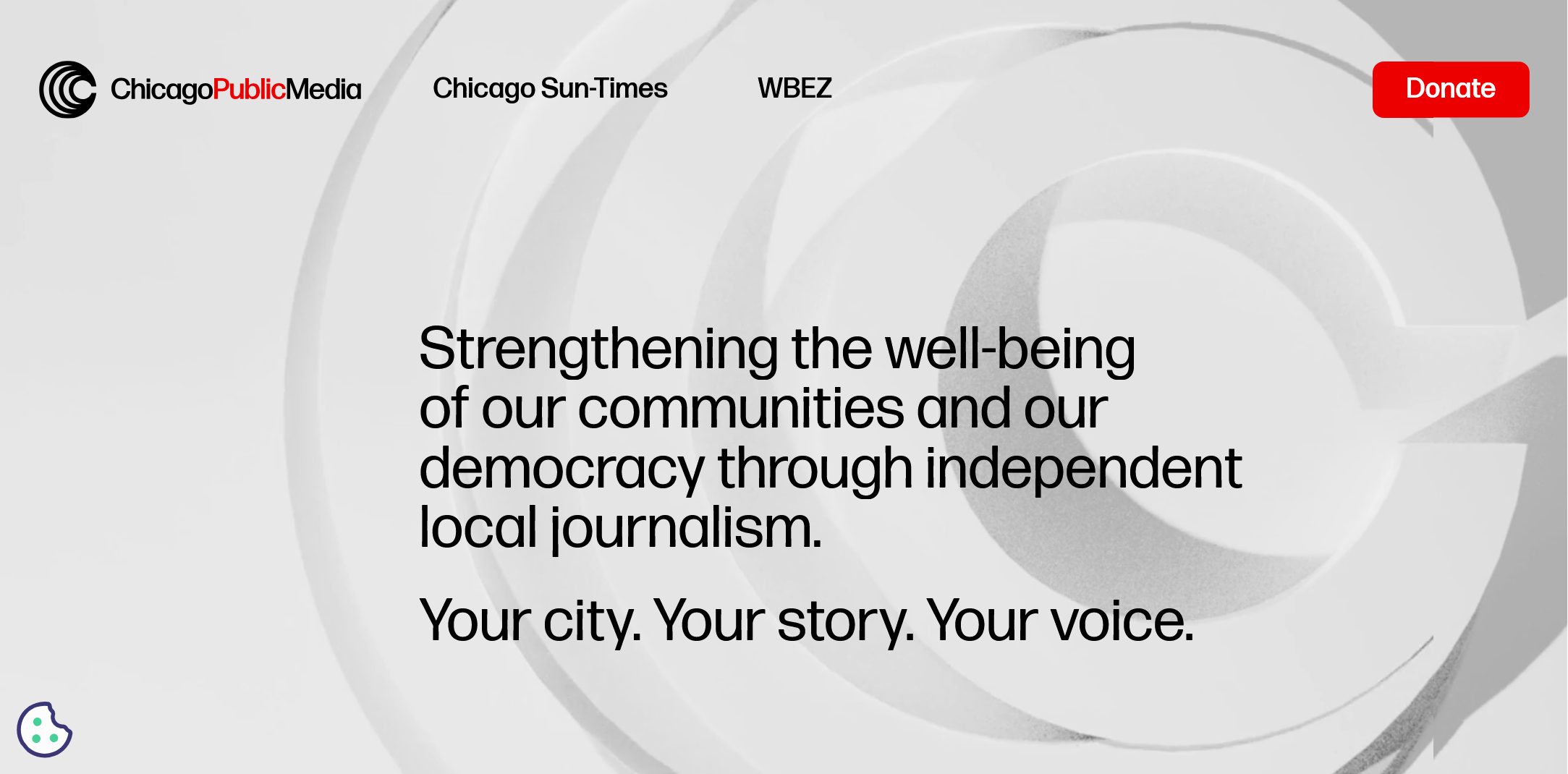 More Public Media Concerns